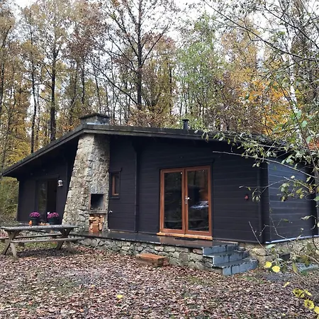Forest Lounge * Petit Mesnil