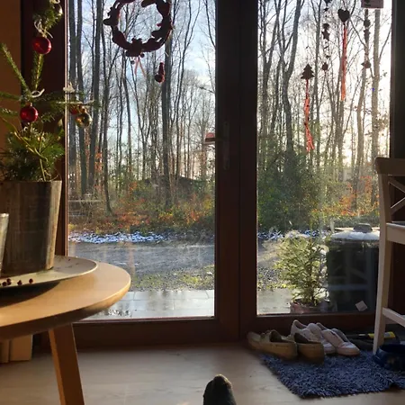 Forest Lounge 샬레